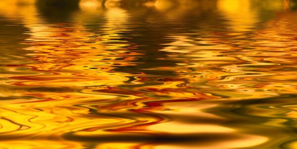 Golden Armor Energetic Reiki