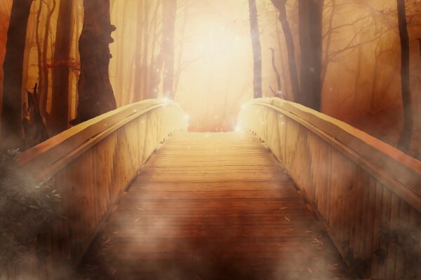 Path Of Power Reiki