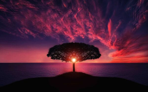 Rising Vibrations Reiki